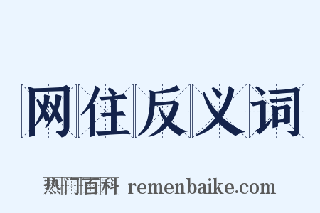 网住反义词是什么意思的图片